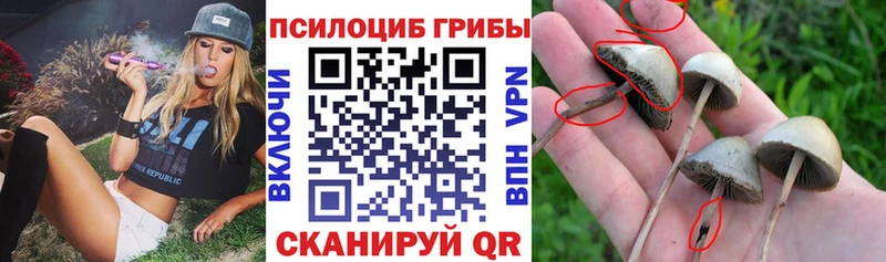 Галлюциногенные грибы мицелий  ОМГ ОМГ ONION  Зубцов  закладка 